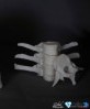 Rachis lombaire, vue de dessus — réalisé en 3DP