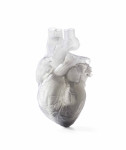 Prothèse de main articulée — imprimante 3D de bureau
